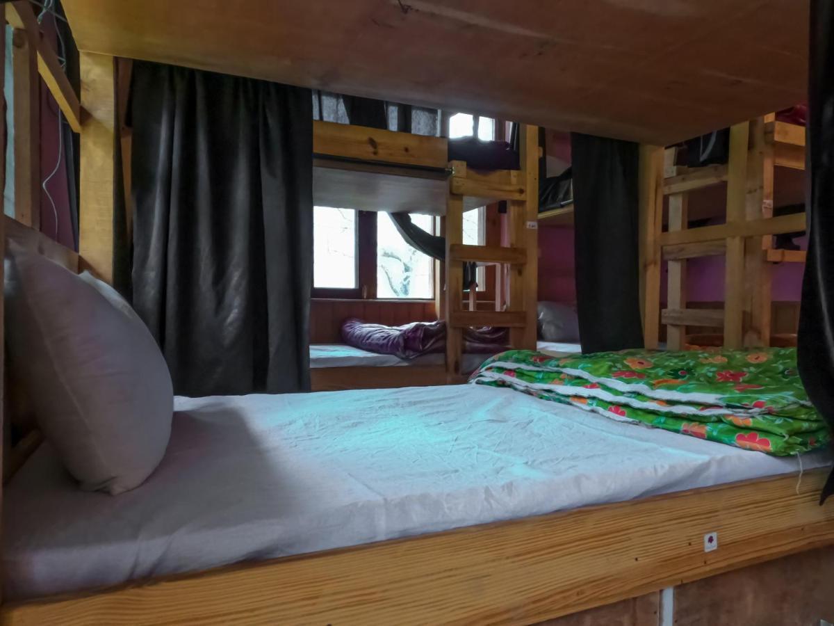 Indian Backpackers Hostel มะนาลี ภายนอก รูปภาพ